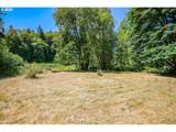  Alder Grove Rd - Photo 15