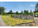 40551 Latigo Ln - Photo 45