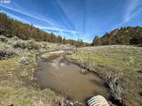 25405 Bear Creek Rd - Photo 46