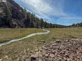 25405 Bear Creek Rd - Photo 47