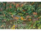 87250 Cedar Flat Rd - Photo 46