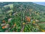 87250 Cedar Flat Rd - Photo 47