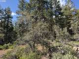  Thunder Bear Road - Photo 10