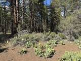  Thunder Bear Road - Photo 11