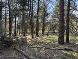  Thunder Bear Road - Photo 15