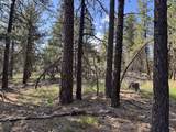  Thunder Bear Road - Photo 16