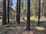  Thunder Bear Road - Photo 17