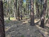  Thunder Bear Road - Photo 19