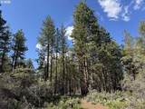  Thunder Bear Road - Photo 2