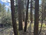  Thunder Bear Road - Photo 24