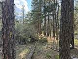  Thunder Bear Road - Photo 27