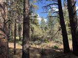  Thunder Bear Road - Photo 28