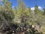  Thunder Bear Road - Photo 36