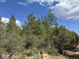  Thunder Bear Road - Photo 39