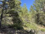  Thunder Bear Road - Photo 45