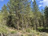  Thunder Bear Road - Photo 48
