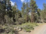  Thunder Bear Road - Photo 7