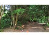 01113 Loftus Rd - Photo 21