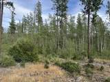 3 Greyback Mt Rd - Photo 3