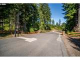 411 Five Peaks Dr - Photo 48