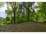 0 Maple Hill Ln - Photo 2