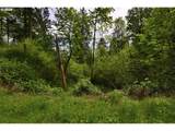 0 Maple Hill Ln - Photo 4