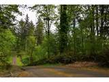 0 Maple Hill Ln - Photo 5