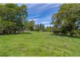 982 Brumbach Rd - Photo 38