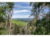 982 Brumbach Rd - Photo 39