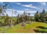 982 Brumbach Rd - Photo 41