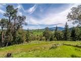 982 Brumbach Rd - Photo 43