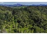 982 Brumbach Rd - Photo 46