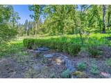 17010 Hillsboro Hwy - Photo 30