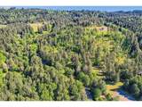17010 Hillsboro Hwy - Photo 39