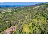 17010 Hillsboro Hwy - Photo 42