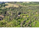17010 Hillsboro Hwy - Photo 43