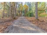 2881 Forest Haven Way - Photo 23