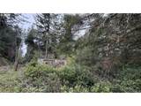93757 Nabb Ln - Photo 11