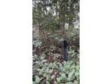 93757 Nabb Ln - Photo 12
