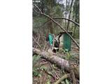93757 Nabb Ln - Photo 13