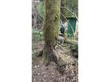 93757 Nabb Ln - Photo 15