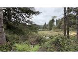 93757 Nabb Ln - Photo 18