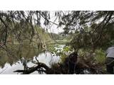 93757 Nabb Ln - Photo 20