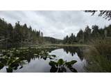 93757 Nabb Ln - Photo 21