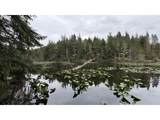 93757 Nabb Ln - Photo 22