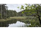 93757 Nabb Ln - Photo 24
