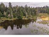 93757 Nabb Ln - Photo 28