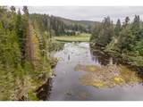 93757 Nabb Ln - Photo 29