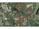 93757 Nabb Ln - Photo 3