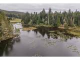 93757 Nabb Ln - Photo 30